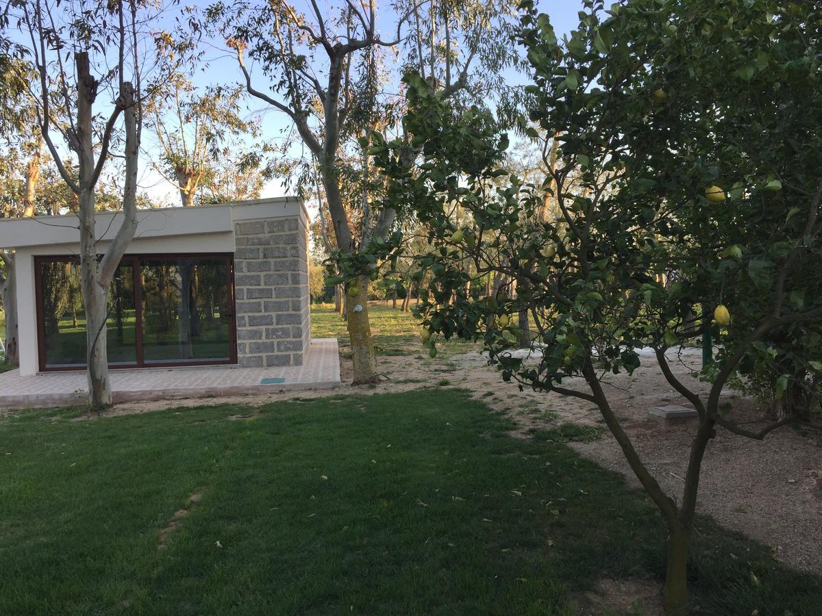 Tenuta Monaci La Murra Carmiano  Экстерьер фото